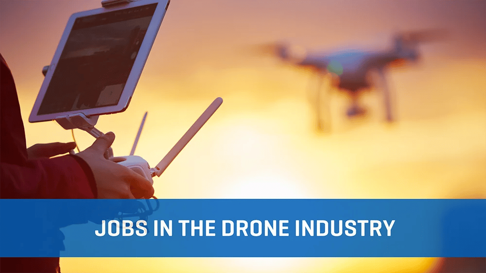 Drone Jobs 1000