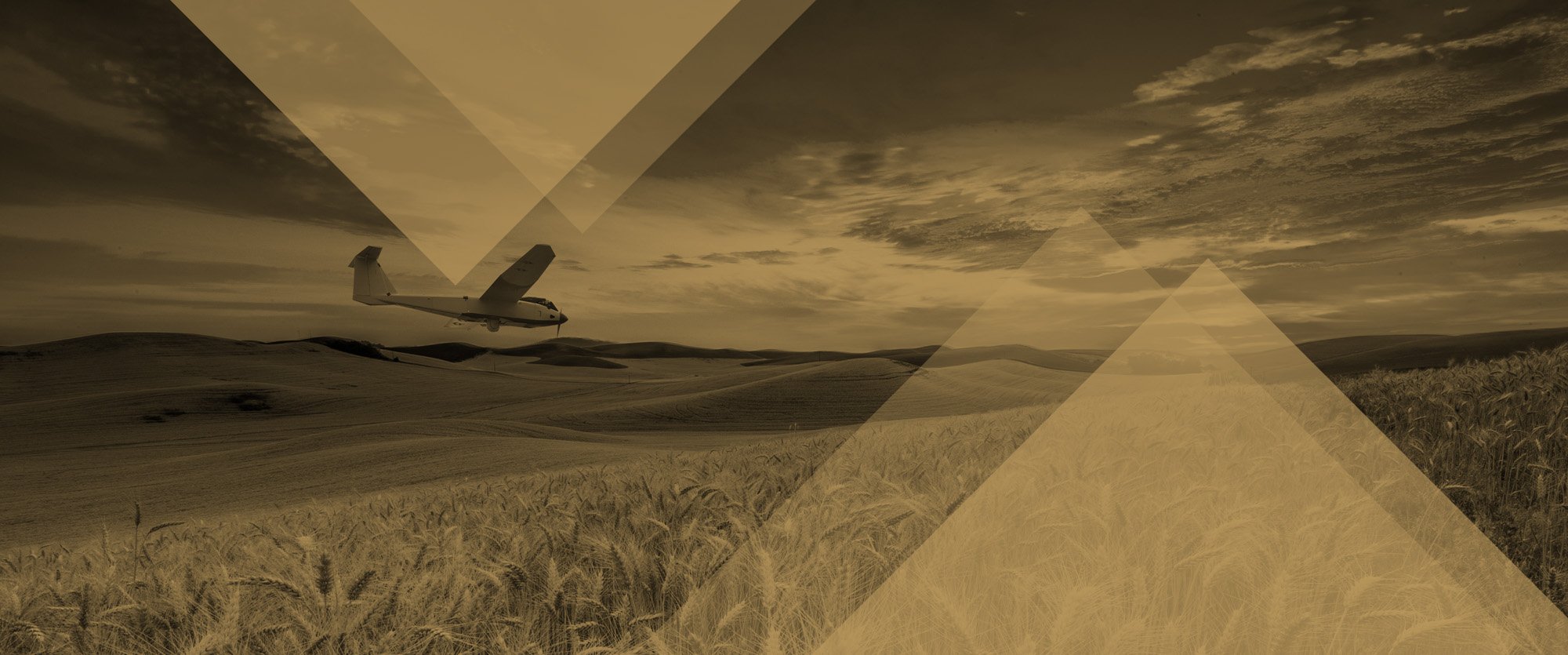 capabilities-banner-1