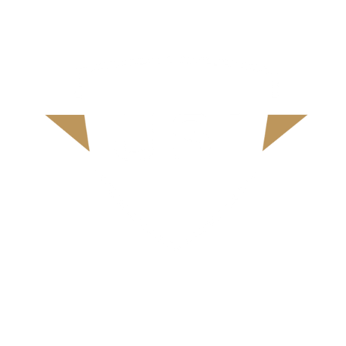 USI Logo - Safety Elevated